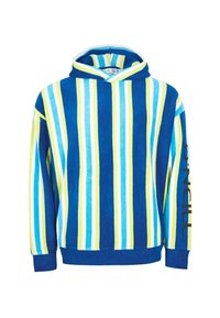 Pull-over à capuche à manches longues avec des rayures verticales en bleu, bleu clair, jaune et blanc, avec le texte "O'Neill" sur la manche gauche.