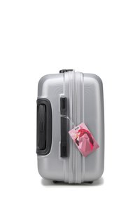WITTCHEN MEDIUM SUITCASE WITH LUGGAGE TAG FROM ABS - Kufr - grey