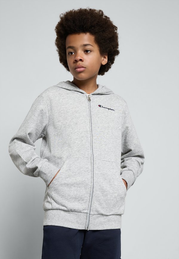 ICONS FULL ZIP HOODIE WITH SMALL LOGO - Zip-up sweatshirt