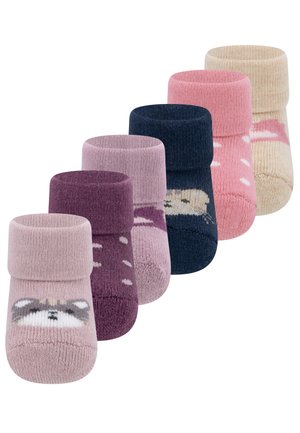 BABYSOCKS NEWBORN CAT 6 PACK UNISEX - Zoknik - rosè-beige
