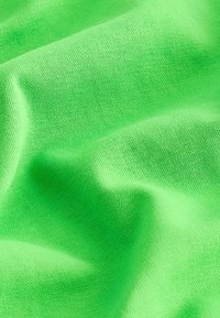 Next HEAVYWEIGHT SHORT SLEEVE CREW NECK STANDARD - Marškinėliai su spaudiniu - green