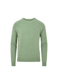 Maglione a maglia verde chiaro con colletto rotondo, polsini e fondo a costine, con un piccolo logo sul petto. Tessuto morbido e design aderente.