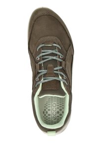 Sneaker casual marrone con lacci grigi, colletto imbottito verde menta, linguetta in mesh e soletta con motivo che presenta il marchio ECCO, vista dall'alto.