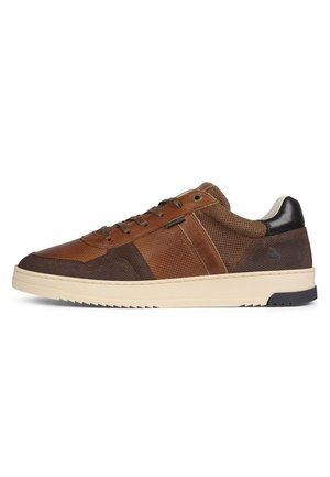 DEAN CUP LOW  - Zapatillas - cognac black