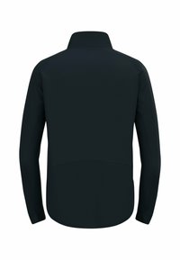 Zwarte, lange mouwen jas met een hoge kraag. Gladde textuur, aansluitend ontwerp en contrasterende naaddetails. Achteraanzicht, minimalistische stijl.