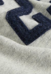 Superdry & Co REGULAR FIT - Camiseta estampada - grey navy