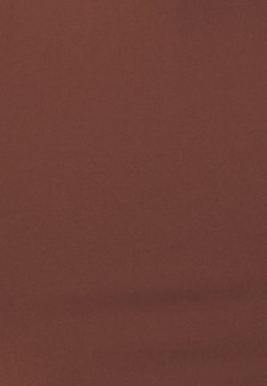 Textil de culoare ruginie, neted, cu un finisaj mat, având o textură uniformă și fără modele sau embellismente vizibile.