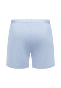 Lichtblauwe boxershort van zacht materiaal. Voorzien van een soepele tailleband met het gegraveerde merknaam en een eenvoudig, strak ontwerp.