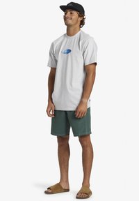 Quiksilver N.A.R. STN - Camiseta estampada - snow heather