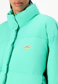 Mėlynas pūkinis švarkas su aukštu apykakle ir spaudėmis. Krūtinėje yra apskritas geltonas ir mėlynas logotipas. Lygus, matinio paviršiaus.