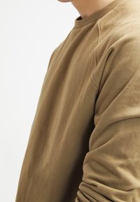 Sweatshirt marron à col rond et manches longues, avec une texture douce et une coupe décontractée, avec des détails de couture subtils sur les manches.