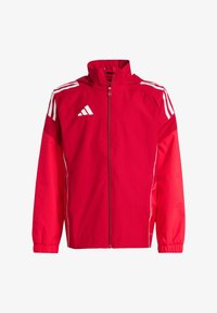 Selezionato, rotlila