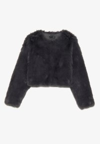 CROPPED - Winterjacke - grey