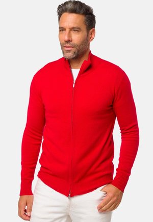 Mann mit kurzen dunklen Haaren und Bart, der einen roten Reißverschluss-Pullover und weiße Hosen trägt und leicht nach rechts blickt, vor einem einfarbigen Hintergrund.