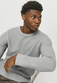 Suéter de punto gris claro con un patrón texturizado, que cuenta con un cuello redondo y puños acanalados. El modelo está sentado en una pose relajada.