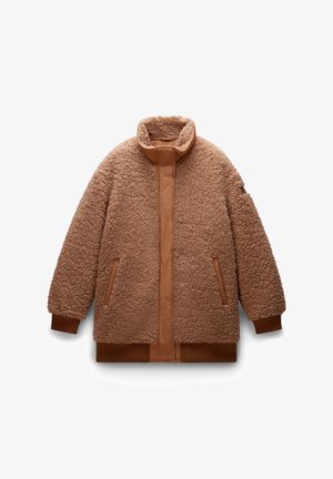 Napapijri BLEONE - Chaqueta de invierno - brown tobacco