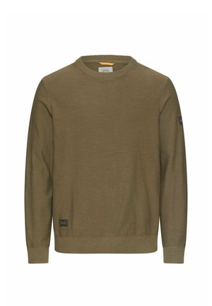 Olivgrüner Pullover mit Rundhalsausschnitt, langen Ärmeln, gerippten Bündchen und Saum sowie kleinen Logo-Patches an der unteren Vorderseite und am linken Ärmel.