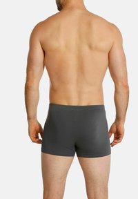 Gray boxer briefs made from a smooth, stretchy fabric, featuring a snug fit and a wide waistband, displayed from the back.