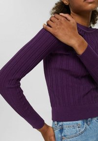 Lila ribbad tröja med långa ärmar, figursydd design, texturerad tyg och vid rund halsringning, i kombination med ljusblå jeans.