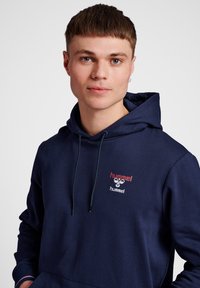 Marineblauwe hoodie van een katoenmix, met een kangoeroe-pocket, een trekkoordkap en een geborduurd logo in rood en wit.