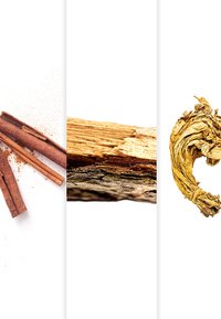 Stecche di cannella e cannella in polvere, cortecce di legno marrone ruvido e materiale vegetale secco giallo legato in un fascio. Sfondo bianco.