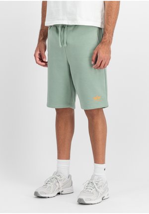 Shorts - frost green