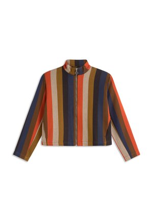 Kleurrijke gestreepte ritssluiting jacket met verticale strepen in rood, oranje, bruin, marineblauw en crèmekleur. Met een opstaande kraag en cropped ontwerp.