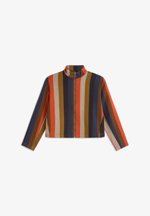 Veste zippée rayée colorée avec des rayures verticales rouges, orange, marron, marine et crème. Col montant et coupe courte.