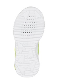 Geox ASSISTER - Zapatillas - lime black