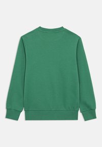 Πράσινο βαμβακερό φούτερ με στρογγυλή λαιμόκοψη, μακριά μανίκια, ριμπ μανσέτες και τελείωμα, και απαλή υφή. Η πίσω πλευρά είναι απλή χωρίς διακοσμήσεις.