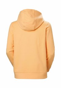 Pomarańczowa bluza z kapturem o gładkiej fakturze i kieszeni kangurkowej, z prążkowanymi mankietami i dołem. Tył prezentuje prosty, minimalistyczny wzór.