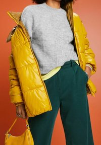 Gevoerde gele jas met een glanzende afwerking, grijze structuurtrui en donkergroene broek. Er wordt een kleine gele handtas in één hand vastgehouden.