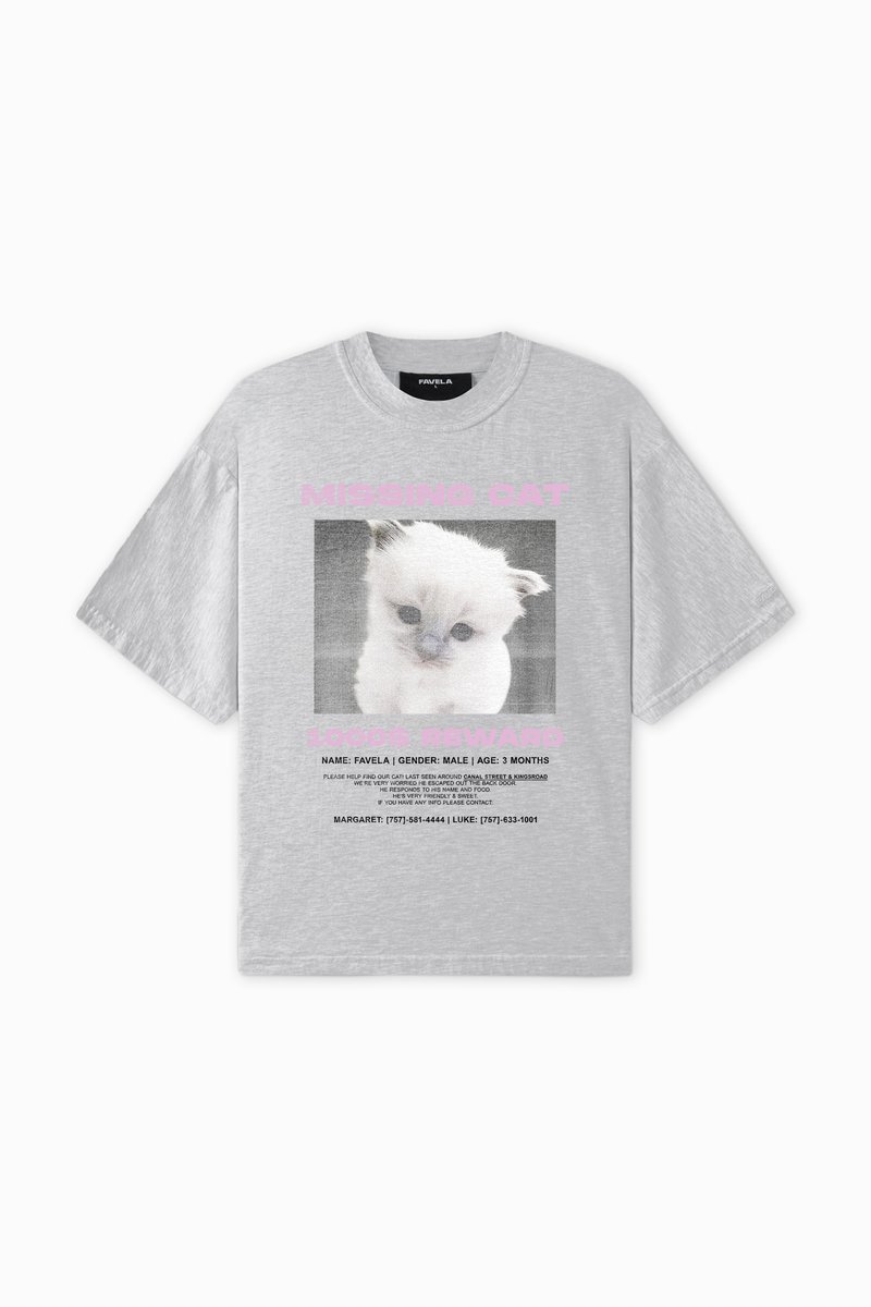 FAVELA T-shirt print grijs gemêleerd