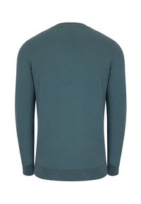 Jasnoniebieski sweter z długimi rękawami, okrągłym dekoltem oraz ściągaczami u dołu i przy rękawach. Wykonany z gładkiego materiału o jednolitej, równej fakturze.