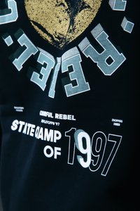 Colourful Rebel STATE CHAMP HOODIE - Collegepaita - black