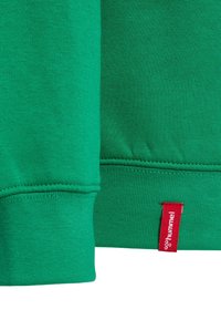 Sudadera verde con puños y dobladillo de canalé, hecha de un tejido suave. Incluye una etiqueta roja con el logo blanco en la costura inferior.