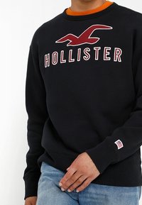 Black sweatshirt with "HOLLISTER" logo and seagull graphic in red. Features round neckline and ribbed cuffs. Small American flag detail on sleeve.