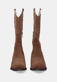 Botas de tobillo de ante marrón con un diseño ajustado, que presentan patrones florales bordados, costuras en contraste y una puntera redondeada.
