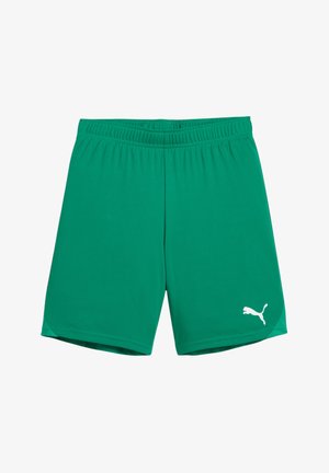 Puma, TEAMGOAL - Korte sportsbukser - gruenweiss