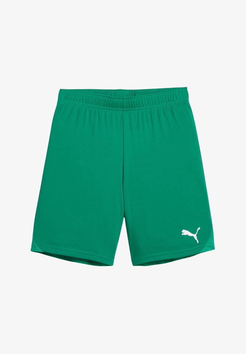 Puma TEAMGOAL - Sport rövidnadrágok - gruenweiss