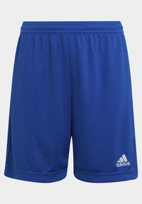 Pantalones cortos deportivos azules hechos de una tela ligera con una cinturilla elástica, que presentan un logo de Adidas en blanco en la parte inferior derecha.