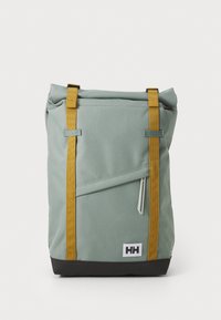 Selected, grey cactus