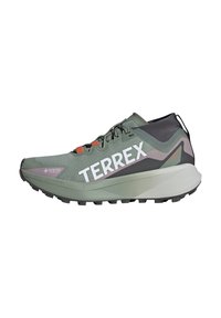 TERREX AGRAVIC TRAIL - Zapatillas de trail running - silver green ftwr white preloved fig