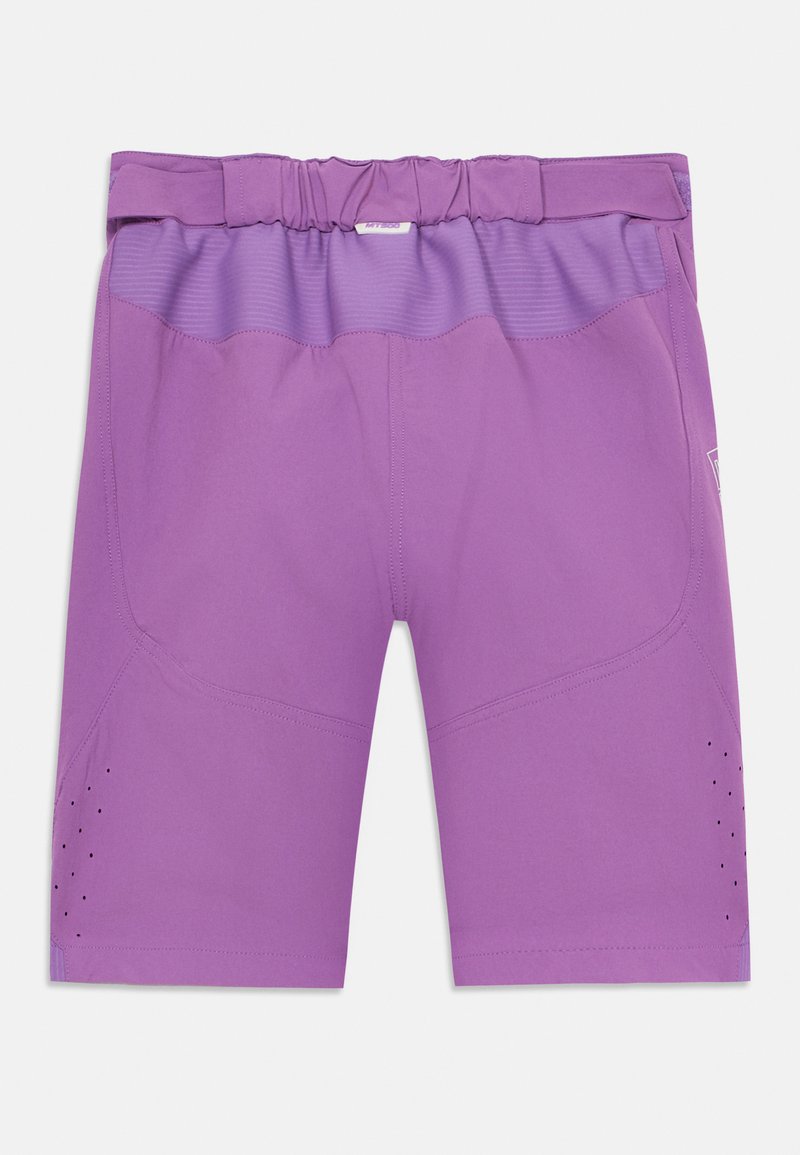 Endura KINDER BURNER UNISEX Sports shorts thistle/light grey