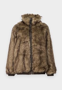 BDG Urban Outfitters MULVEY  - Χειμωνιάτικο μπουφάν - sand