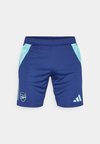 ARSENAL FC TIRO24 SHORT - Equipación de clubes - night sky