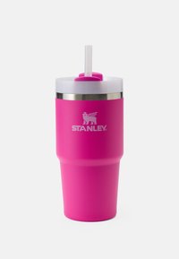 Rosa isolerad tumbler med en bas i rostfritt stål, en bred öppning och ett genomskinligt plastlock; har ett matchande sugrör och en logotyp.