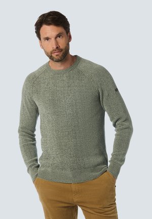 CREWNECK - Strickpullover - grey green