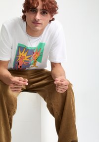 T-shirt blanc avec un graphique coloré de deux chats sur un fond vert et bleu, associé à un pantalon en velours côtelé marron.