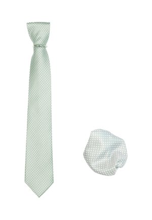 PASSENDEM IM SET - Pocket square - hellgrün